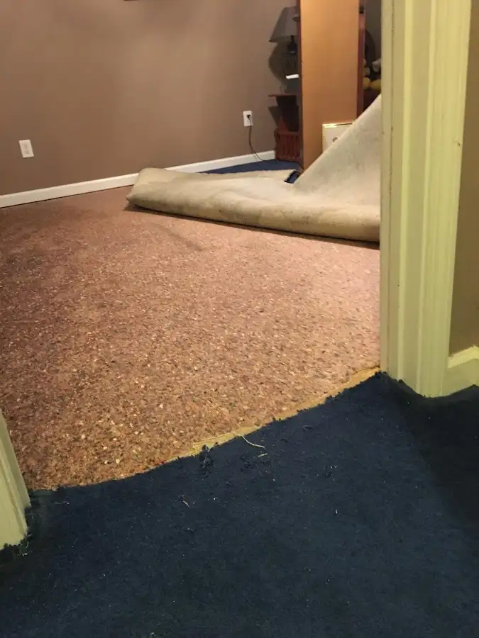Carpet pad removal revealing water damage during Drying & Dehumidification in Hastings-on-Hudson