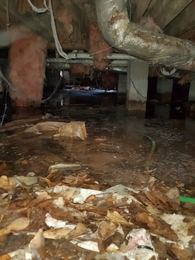 Crawl space flood assessment for Leak Detection & Repair in Hastings-on-Hudson